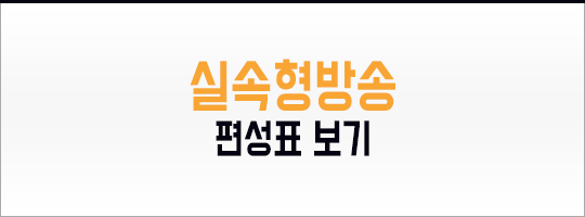 편성표 전환버튼